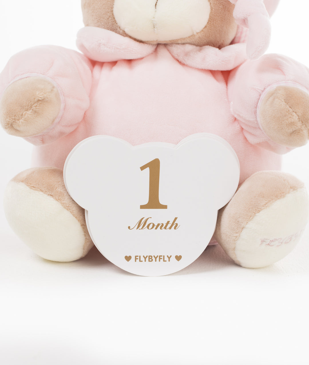 Baby Milestone Cards - Pink